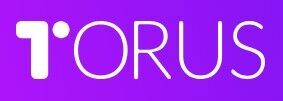 Torus лого