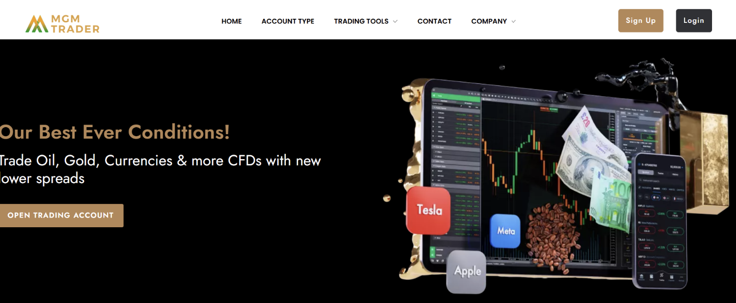 MGM Trader LTD обзор