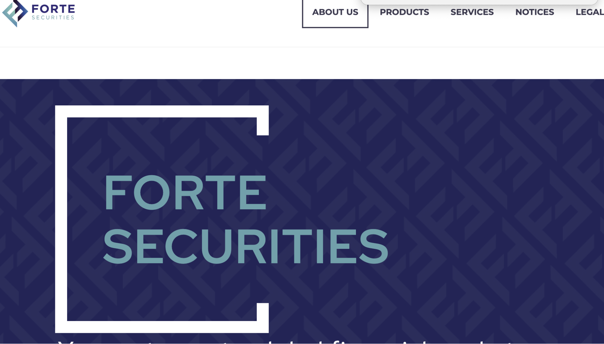 Forte Securities Limited обзор