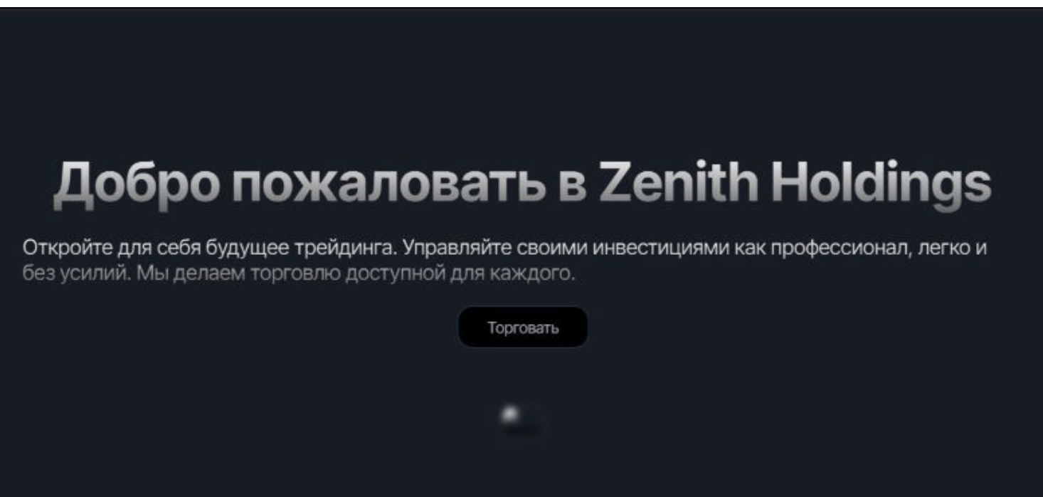 ZenithHoldings обзор