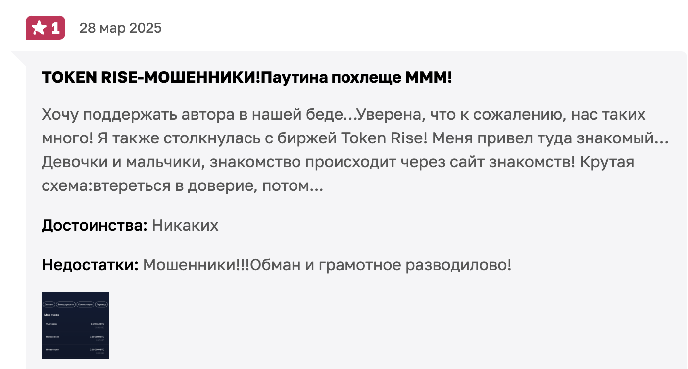 отзывы Token Rise