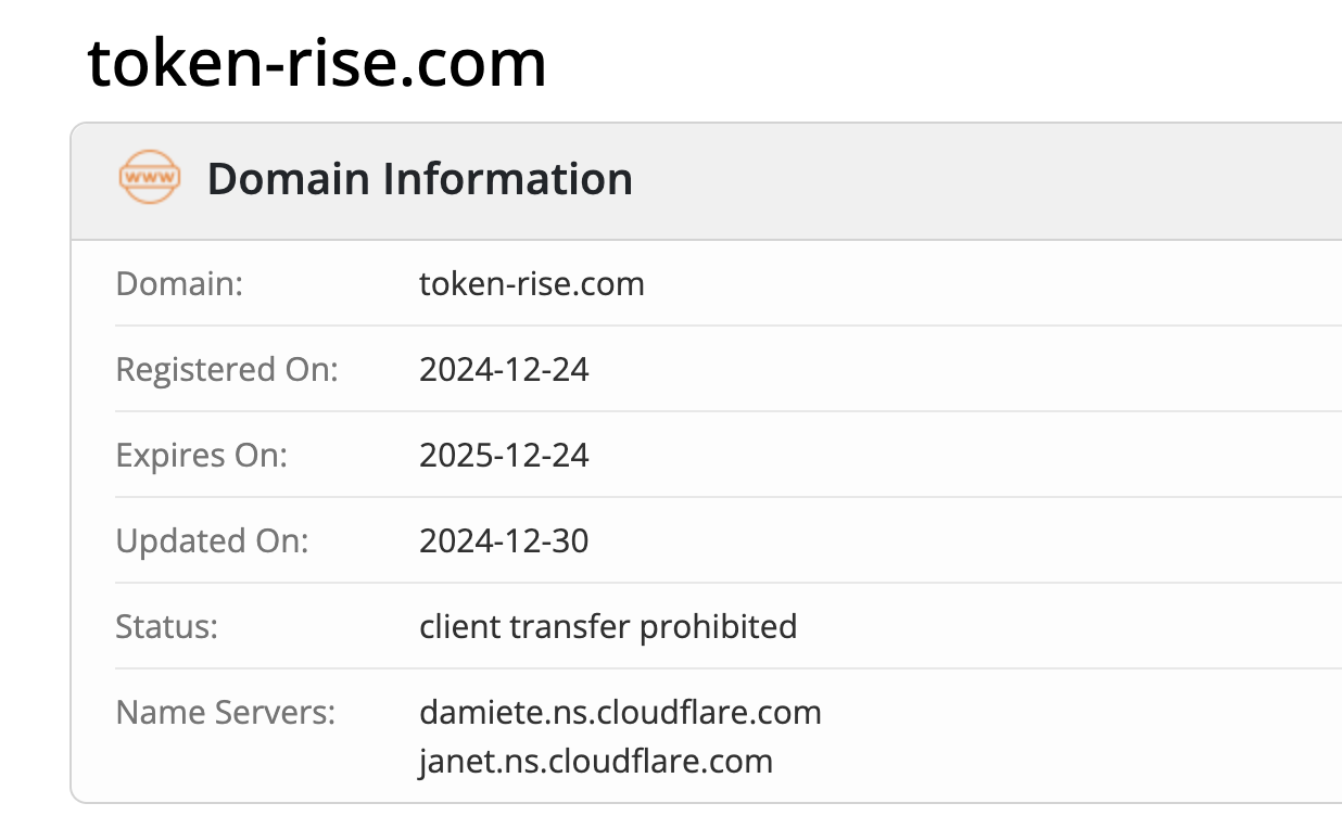 Token Rise домен