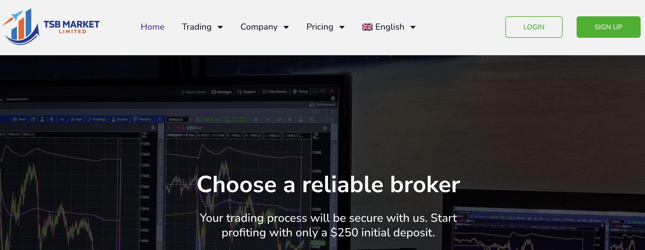 TSB Market LTD обзор