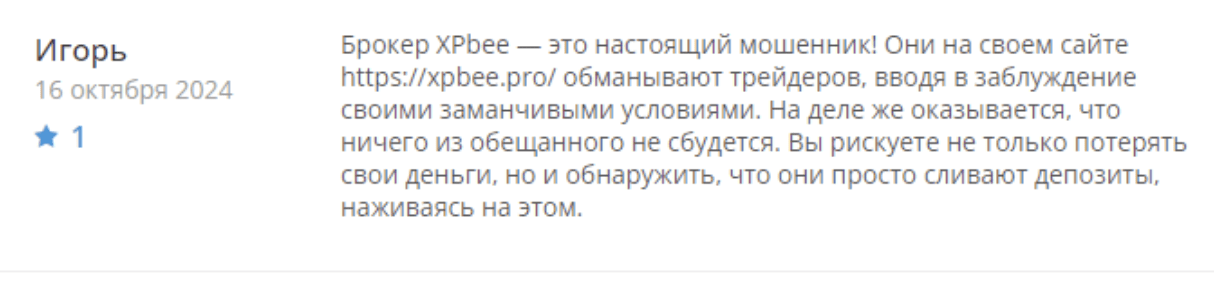 XPBee отзывы людей