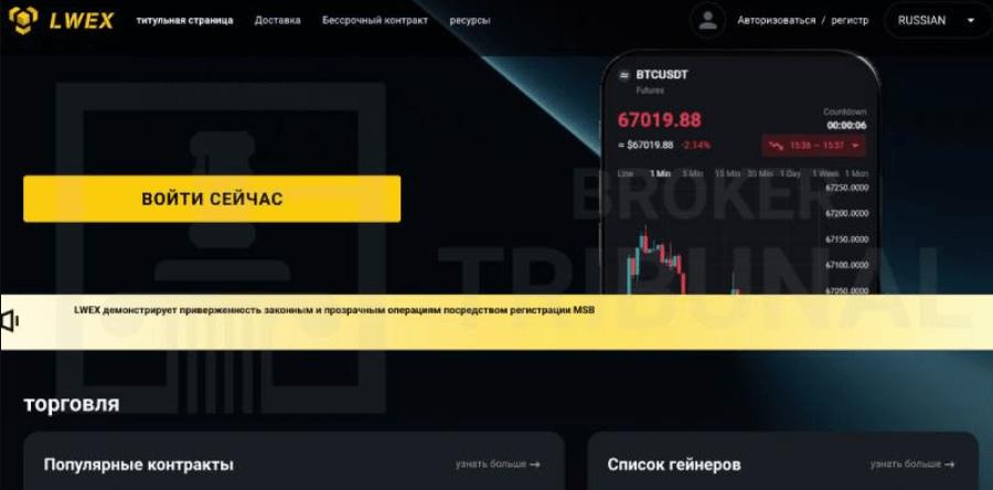 обзор компании LWEX