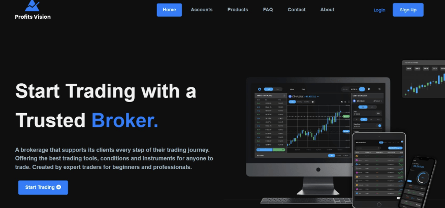 Profits Vision обзор