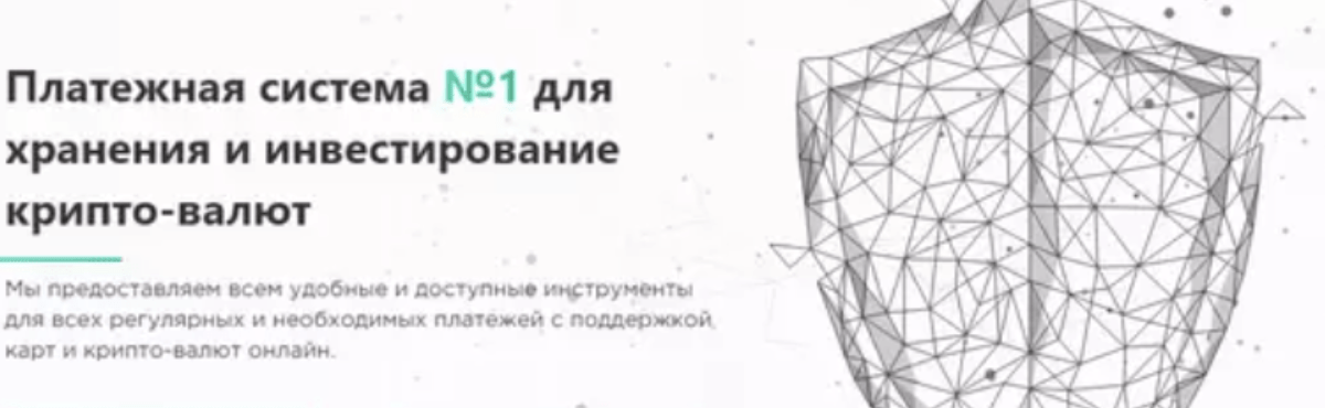 информация New Pay