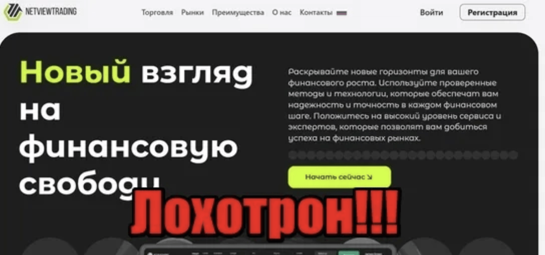 информация о странице сайта Netview Trading
