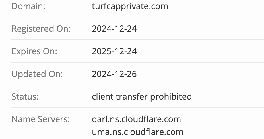 Turf Capital Private LTD домен