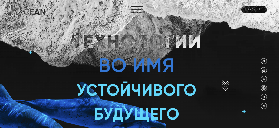 обзор сайта Crypto Ocean Ltd
