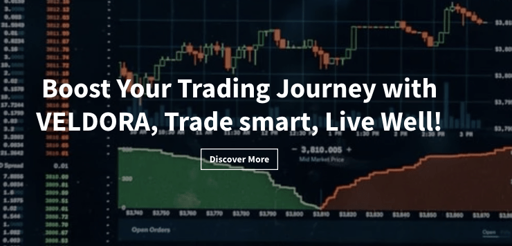 обзор на Veldora Trading