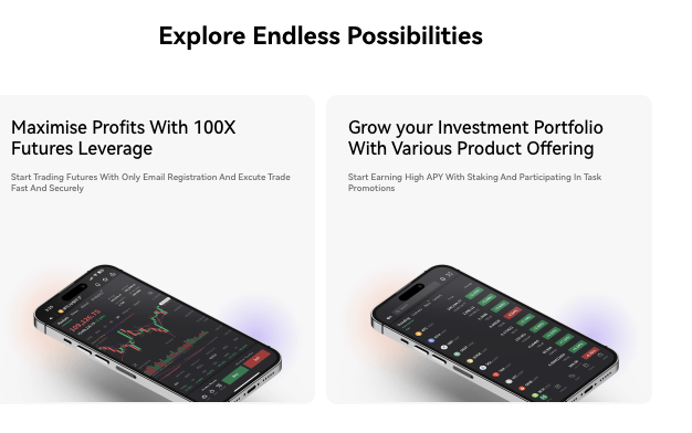 информация о CryptoBoostX / 1MAX