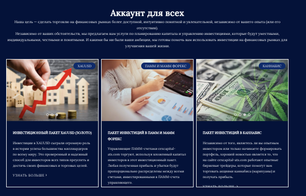 что известно? Cexcapital-ATS