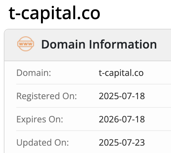 T‑Capital домен