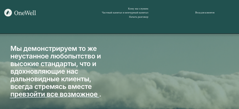 обзор OneWell