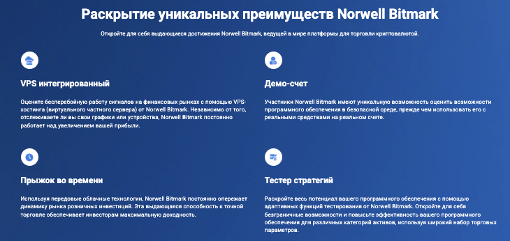 информация про Norwell Bitmark
