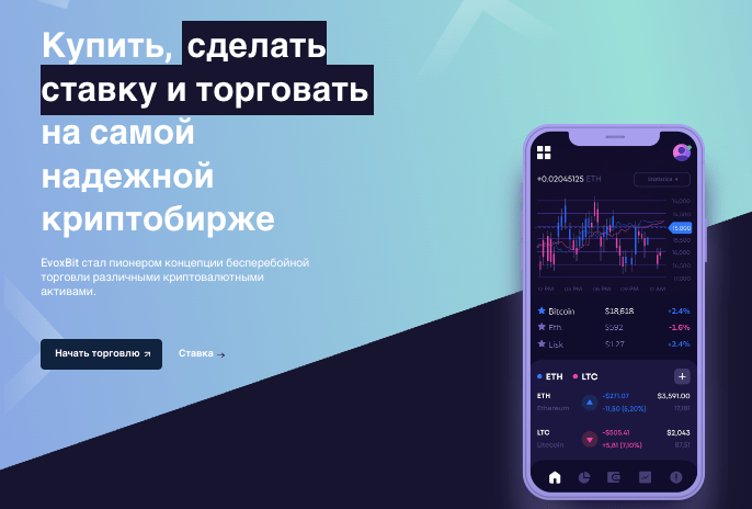 обзор EvoxBit
