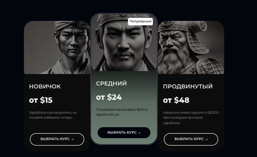 торговые условия Ronin Academy