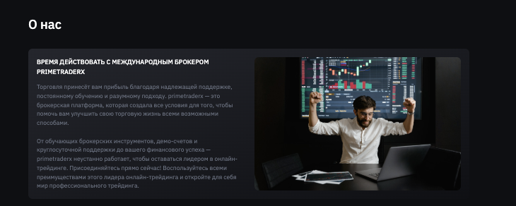 обзор на PrimeTraderX