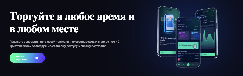 проверка ScalpEX