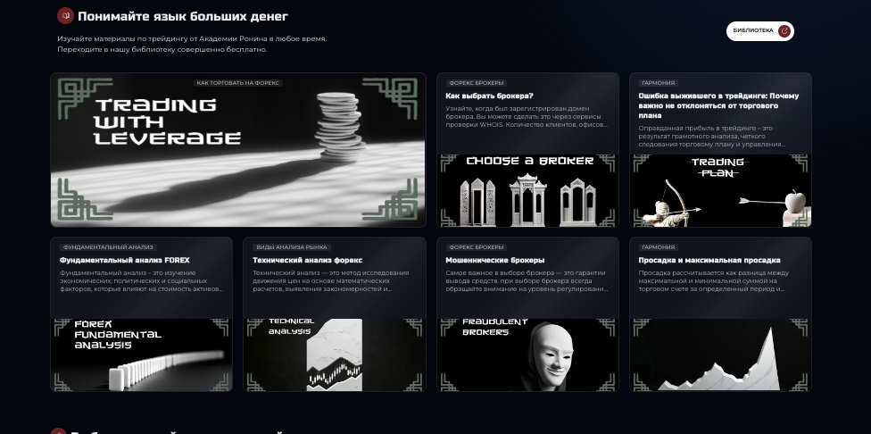 информация про Ronin Academy