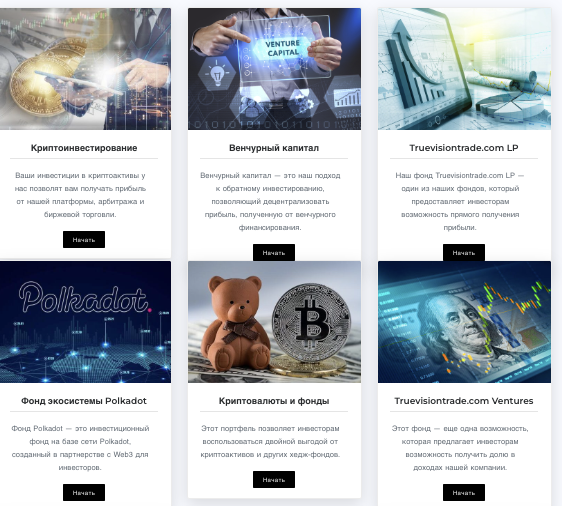 обзор TrueVisionTrade