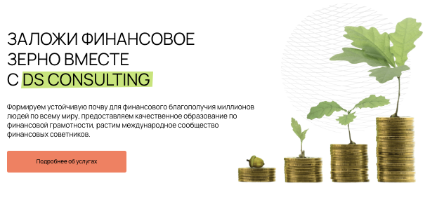 обзор на DS Consulting